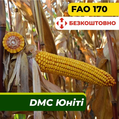 Насіння кукурудзи ДМС Юніті, ФАО 170 2305 фото