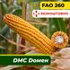 Насіння кукурудзи ДМС Домен, ФАО 260 2308 фото 1