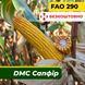 Насіння кукурудзи ДМС Сапфір, ФАО 290 2310 фото 1