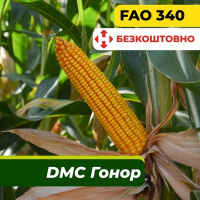 Насіння кукурудзи ДМС Гонор, ФАО 340 2304 фото
