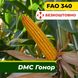 Насіння кукурудзи ДМС Гонор, ФАО 340 2304 фото 1