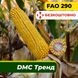 Насіння кукурудзи ДМС Тренд, ФАО 290 2318 фото 1