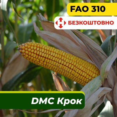 Насіння кукурудзи ДМС Крок, ФАО 310 23030 фото
