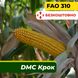 Насіння кукурудзи ДМС Крок, ФАО 310 23030 фото 1