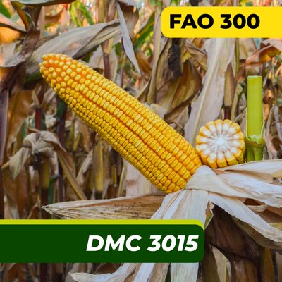Насіння кукурудзи ДМС 3015, ФАО 300 2325 фото