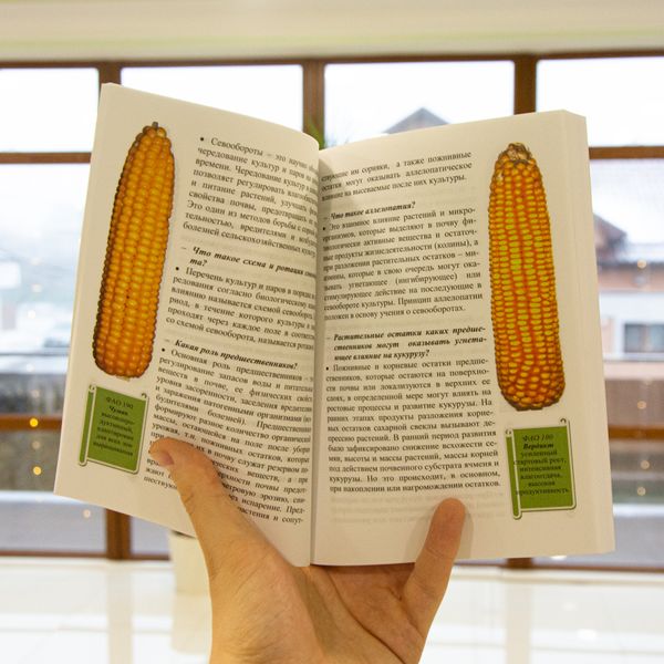 Технологія вирощування гібридів кукурудзи. Пащенко Ю.М. Борисов В.М. 5001 фото