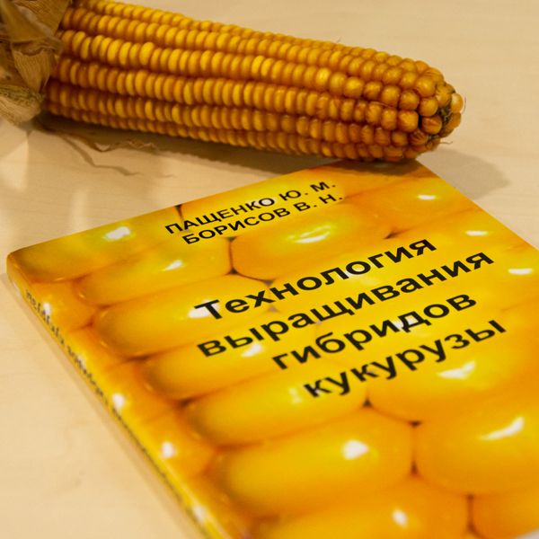 Технологія вирощування гібридів кукурудзи. Пащенко Ю.М. Борисов В.М. 5001 фото