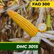 Насіння кукурудзи ДМС 3015, ФАО 300 2325 фото 1
