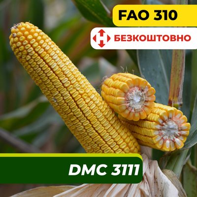Насіння кукурудзи ДМС 3111, ФАО 310 2320 фото