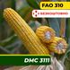 Насіння кукурудзи ДМС 3111, ФАО 310 2320 фото 1