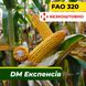 Насіння кукурудзи ДМ Експенсів, ФАО 320 2316 фото 1