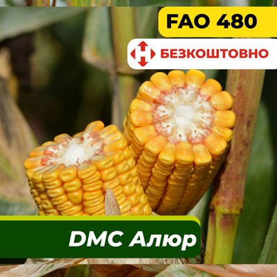 Насіння кукурудзи ДМС Алюр, ФАО 480 2323 фото