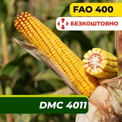 Семена кукурузы ДМС 4011, ФАО 400 2329 фото